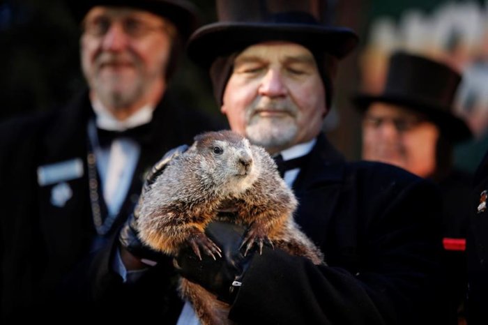 La marmota Phil predice que la primavera nos llegará pronto