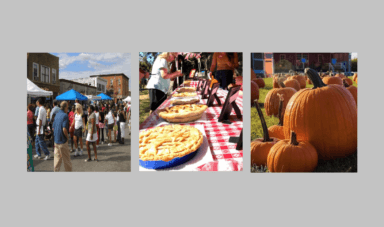 Vívelo LI : Feria en la Calle, Concurso de Tarta de Manzana, Festival de Otoño