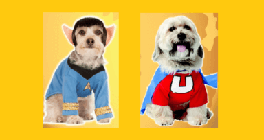 Organizan Concurso de Disfraces Caninos por Halloween 'Nassau Barkfest'