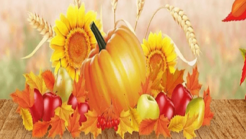 Vívelo LI : Festival de otoño 'Lindy Harvest' en Lindenhurst