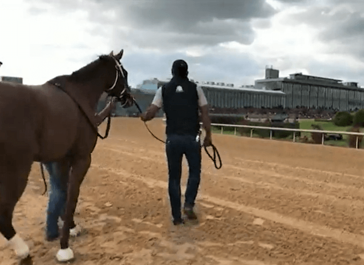 Tribunal ordena a dueños de caballos de carrera en L.I. pagar salarios robados a trabajadores